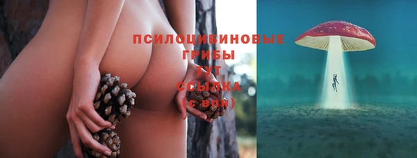 ПСИЛОЦИБИНОВЫЕ ГРИБЫ Абинск