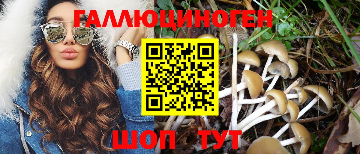 что такое наркотик  Галлюциногенные грибы Magic Shrooms  Вход с VPN  Сертолово 