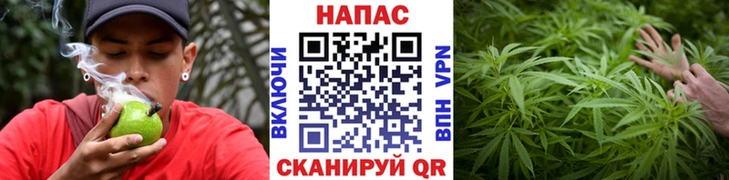 Бошки марихуана White Widow как найти закладки Сертолово
